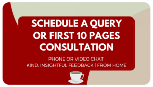 Schedule A Query Consultation